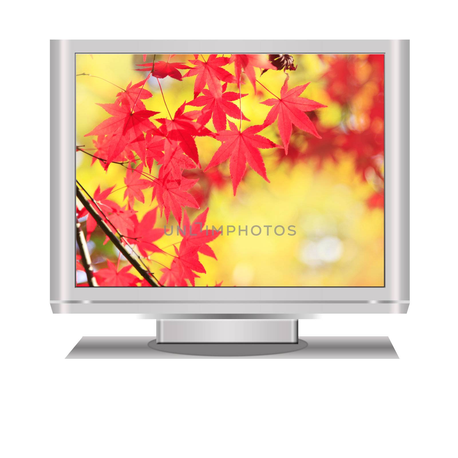 Fall display in an isolated  lcd television illustration digital high resolution.