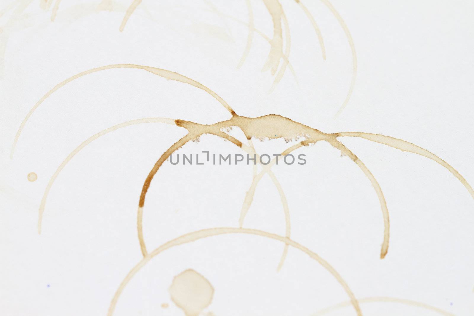 a coffee mug stain on a paper
