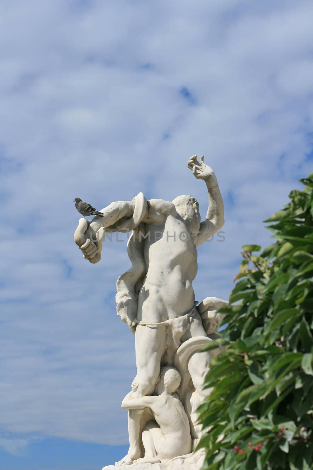 Statue in the Jardin Des Tuleres Pais France with pigeon roosing on statues arm. Greenery to front.