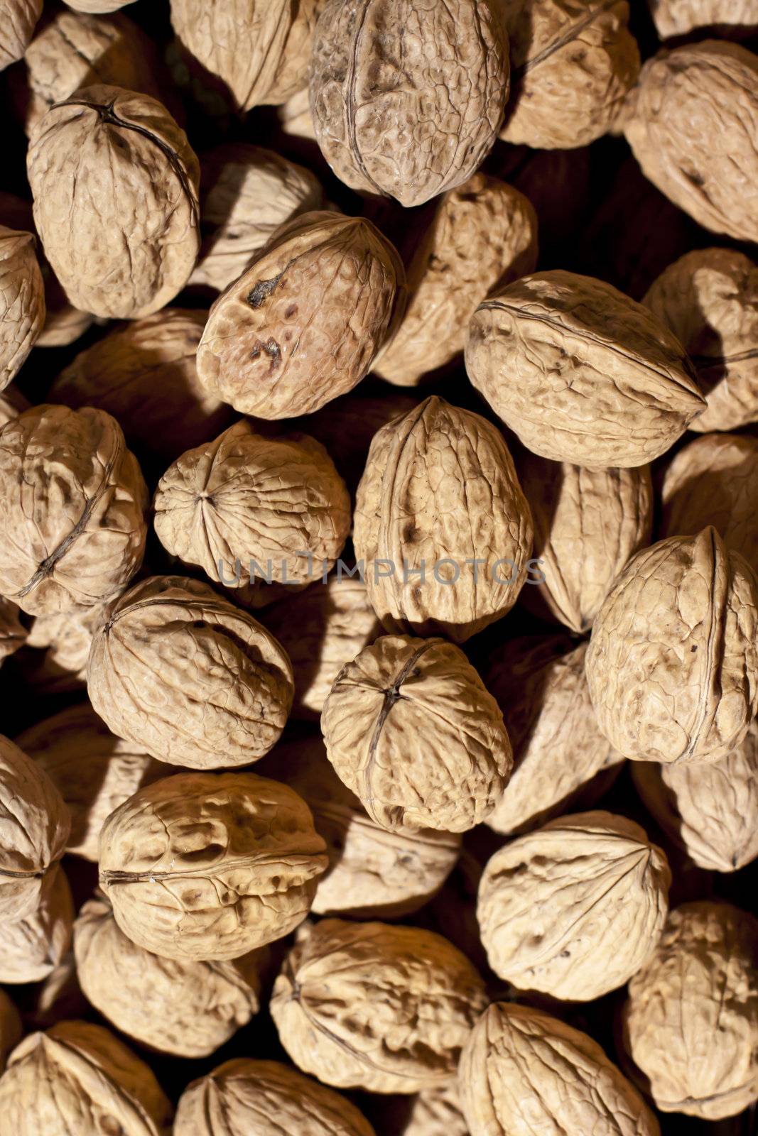 Brown dry walnuts in their wooden shells.