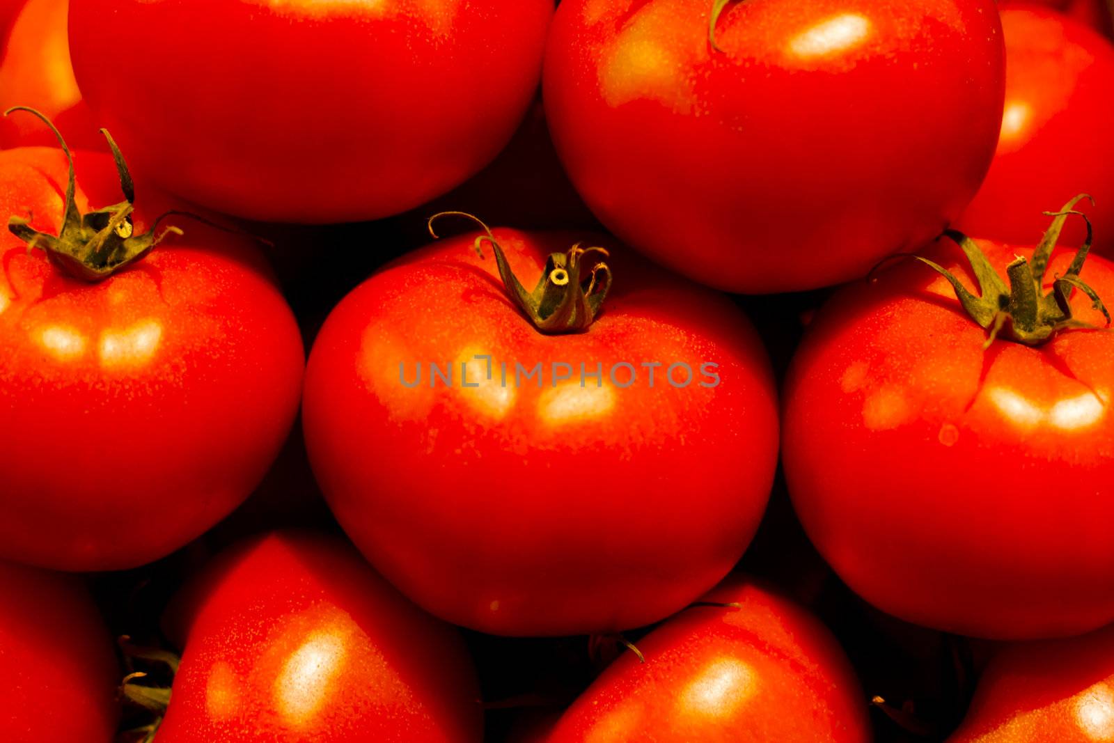 Genetically modified tomatos by kasto