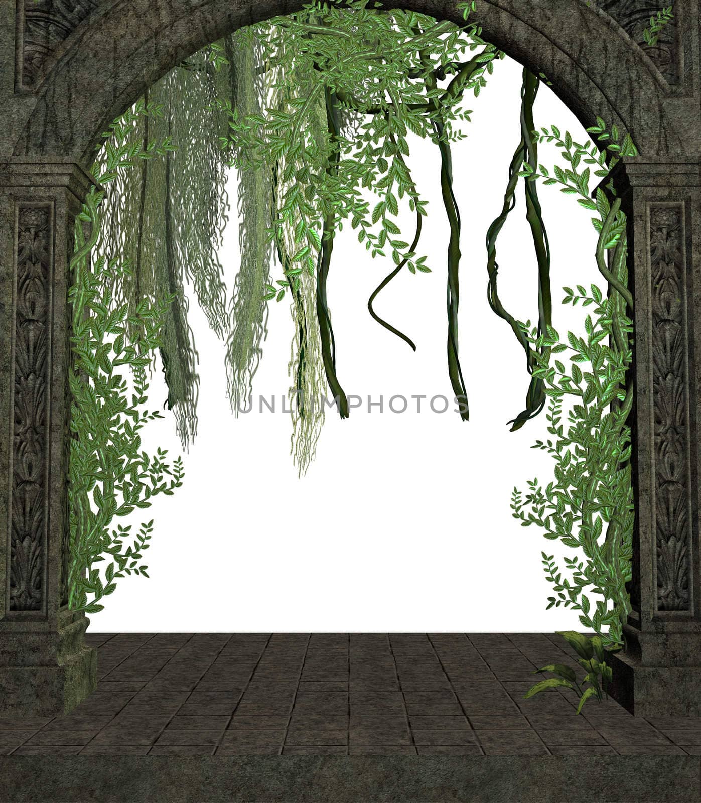 Vines in a doorway on a white background