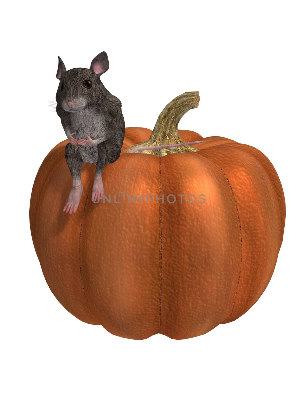 Mouse On A Pumpkin by kathygold
