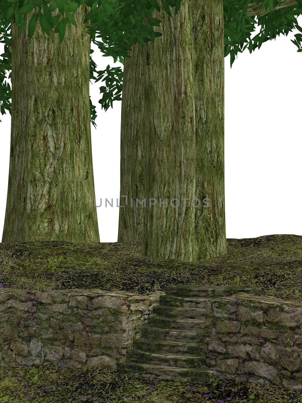 Forest Backdrop by kathygold