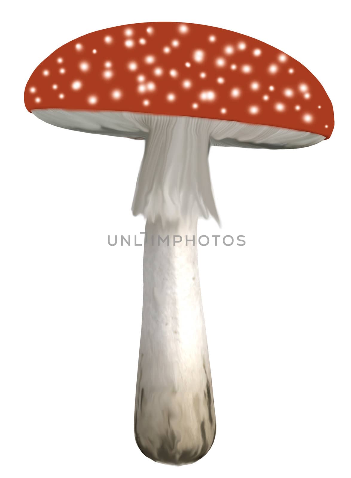 Red mushroom with white polka dots on a white background