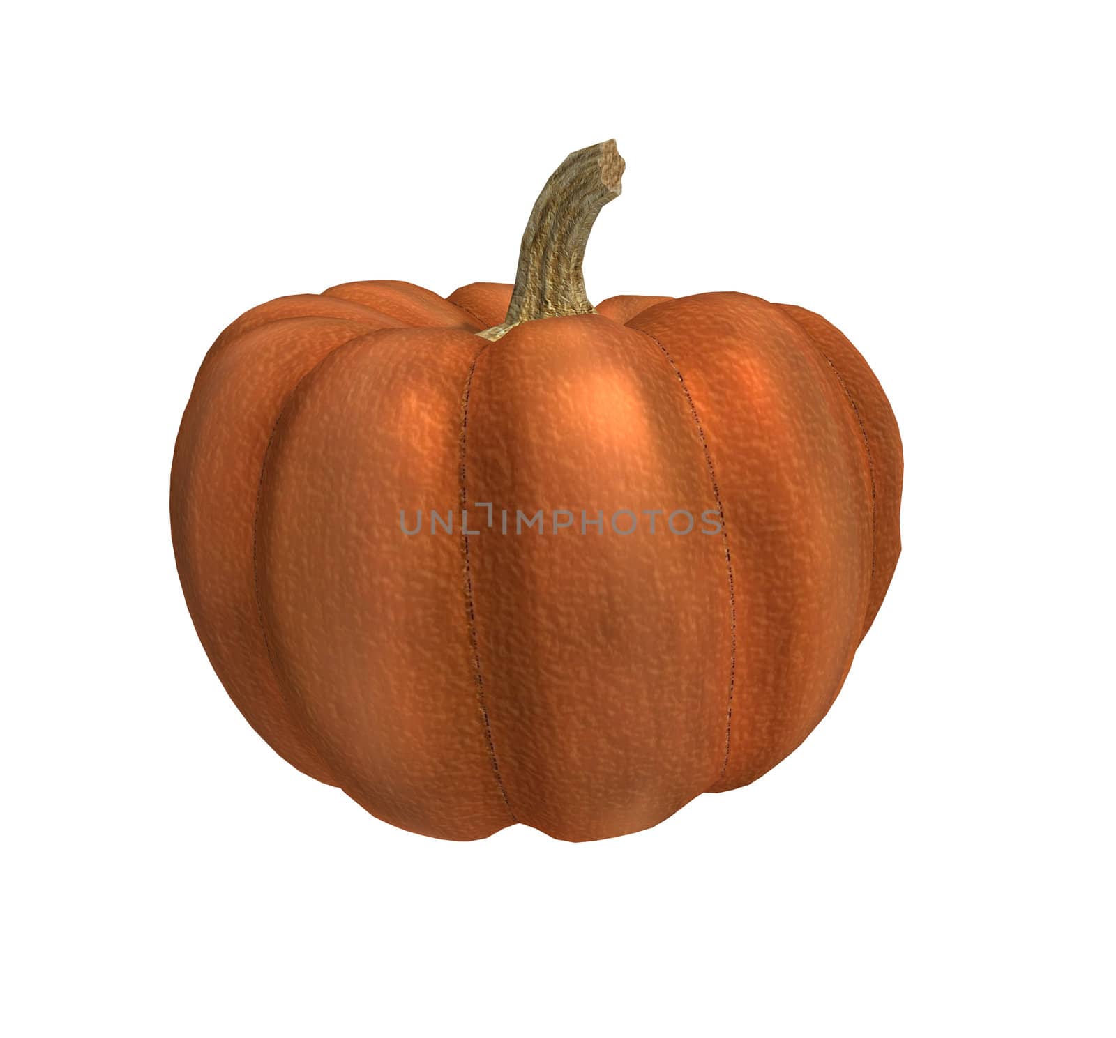 One orange pumpkin on a white background