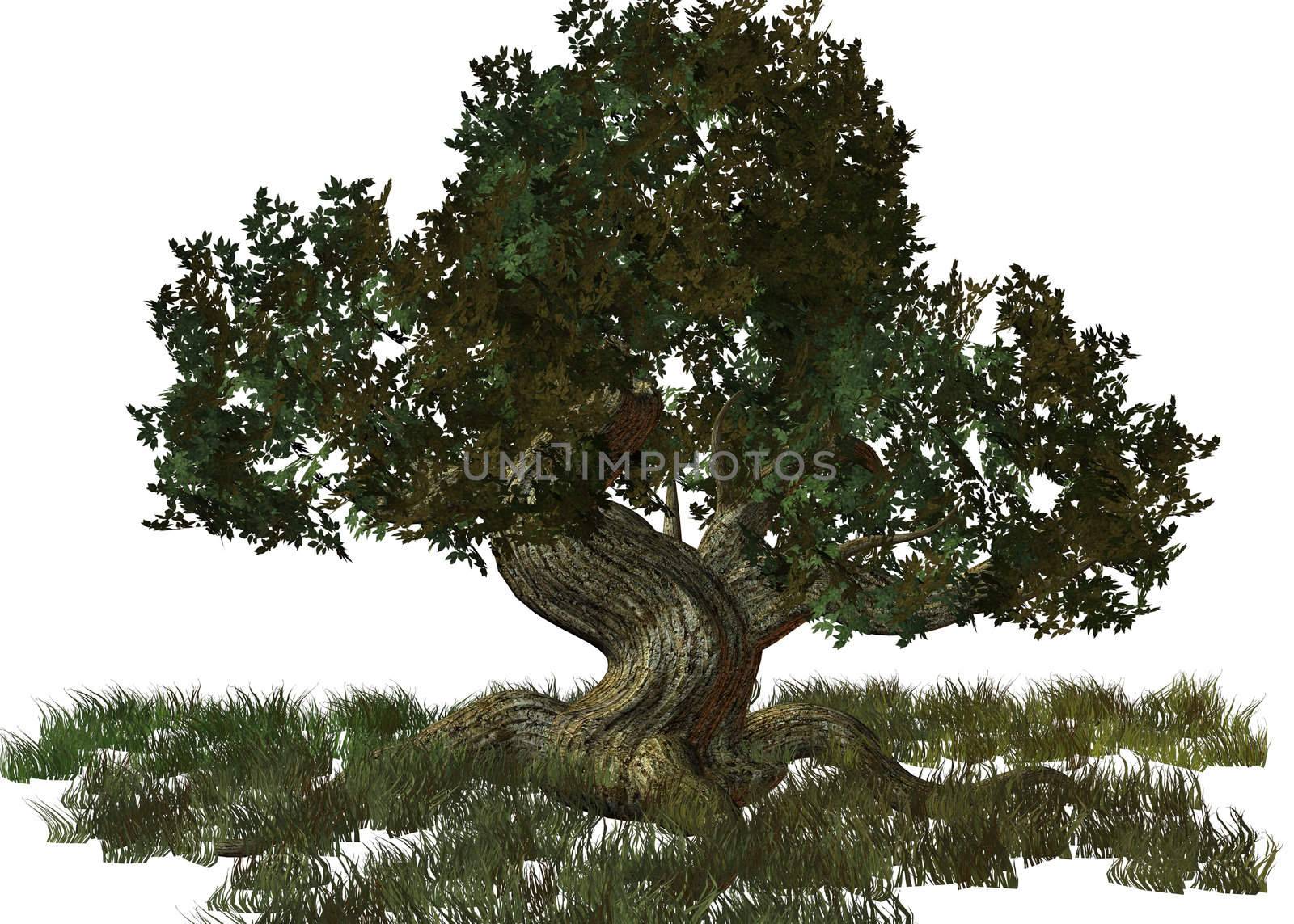 One Big Tree by kathygold