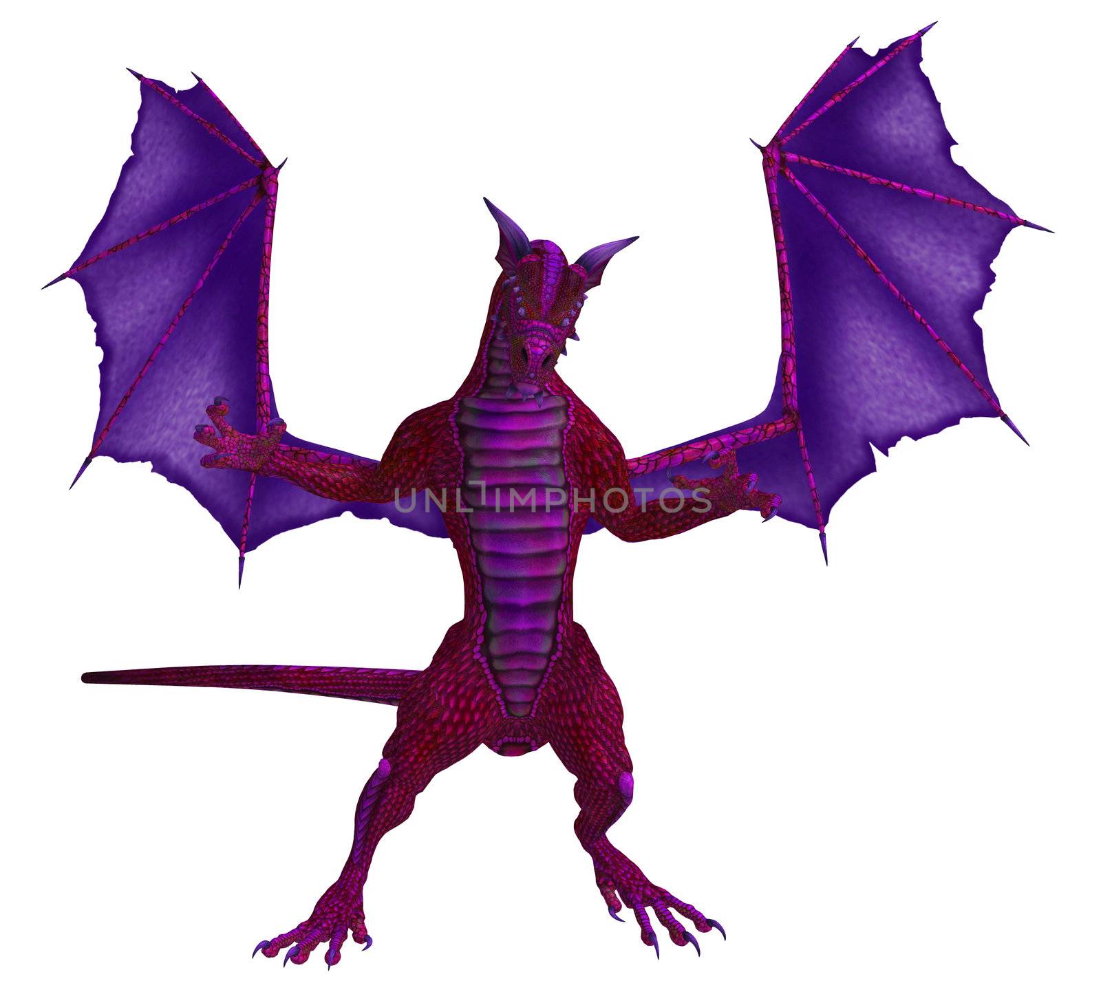 Pink purple dragon standing with wings spread