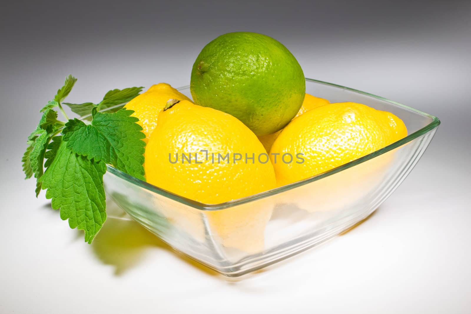 Isolated on white  mint , lime and lemon