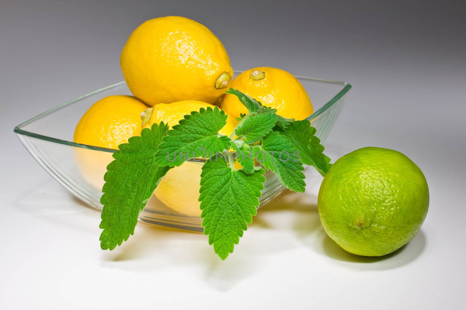 Isolated on white  mint , lime and lemon