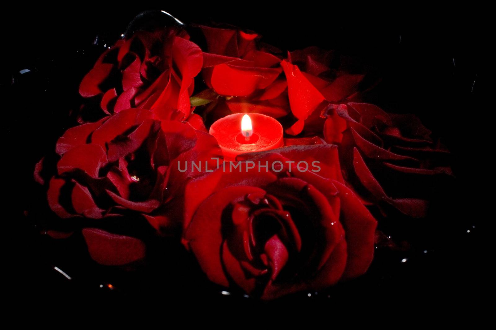 Red roses with candles on black