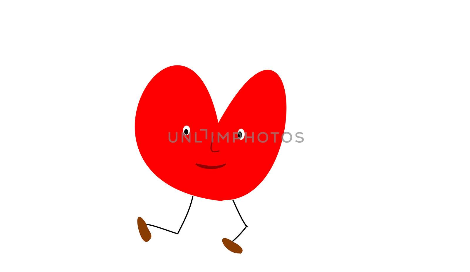 the heart on white background