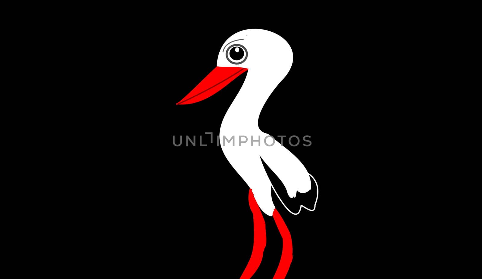 the stork on the black background