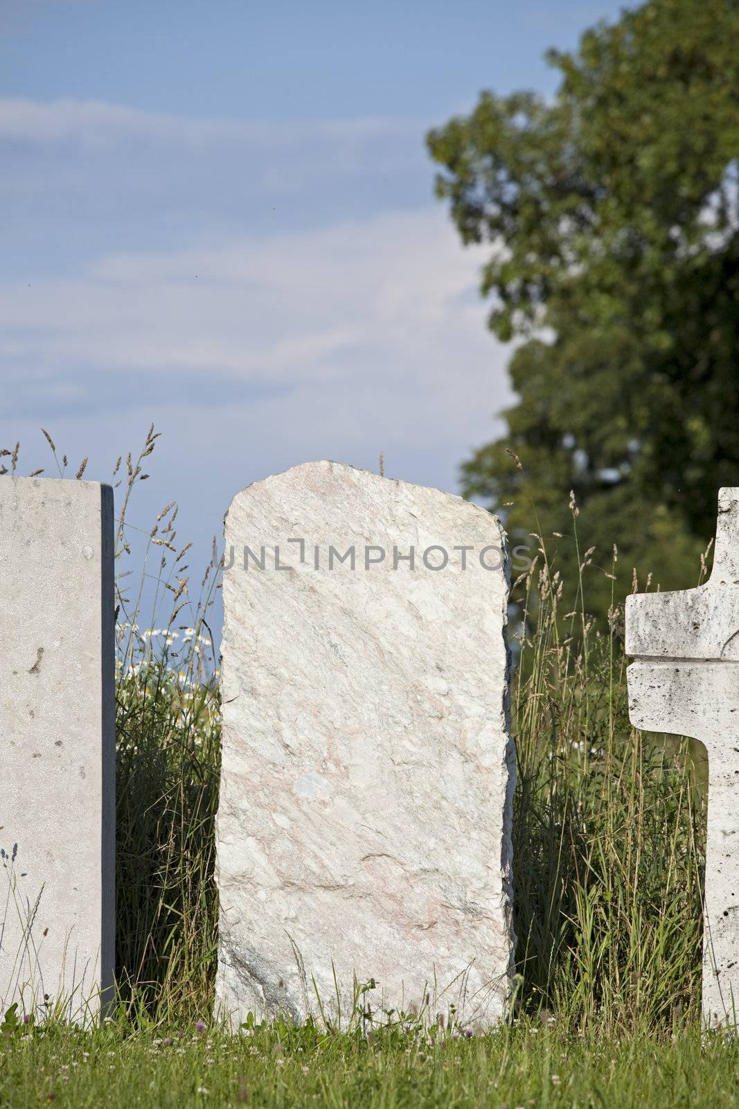 single empty granite gravestone on a grass meadow by bernjuer