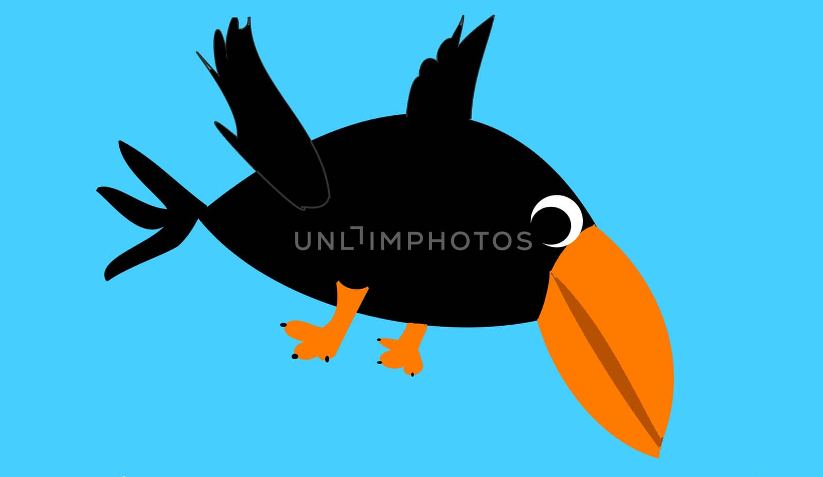 the flying bird on blue background