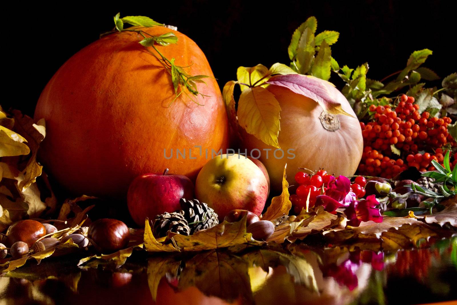 Autumn crop isolated on black