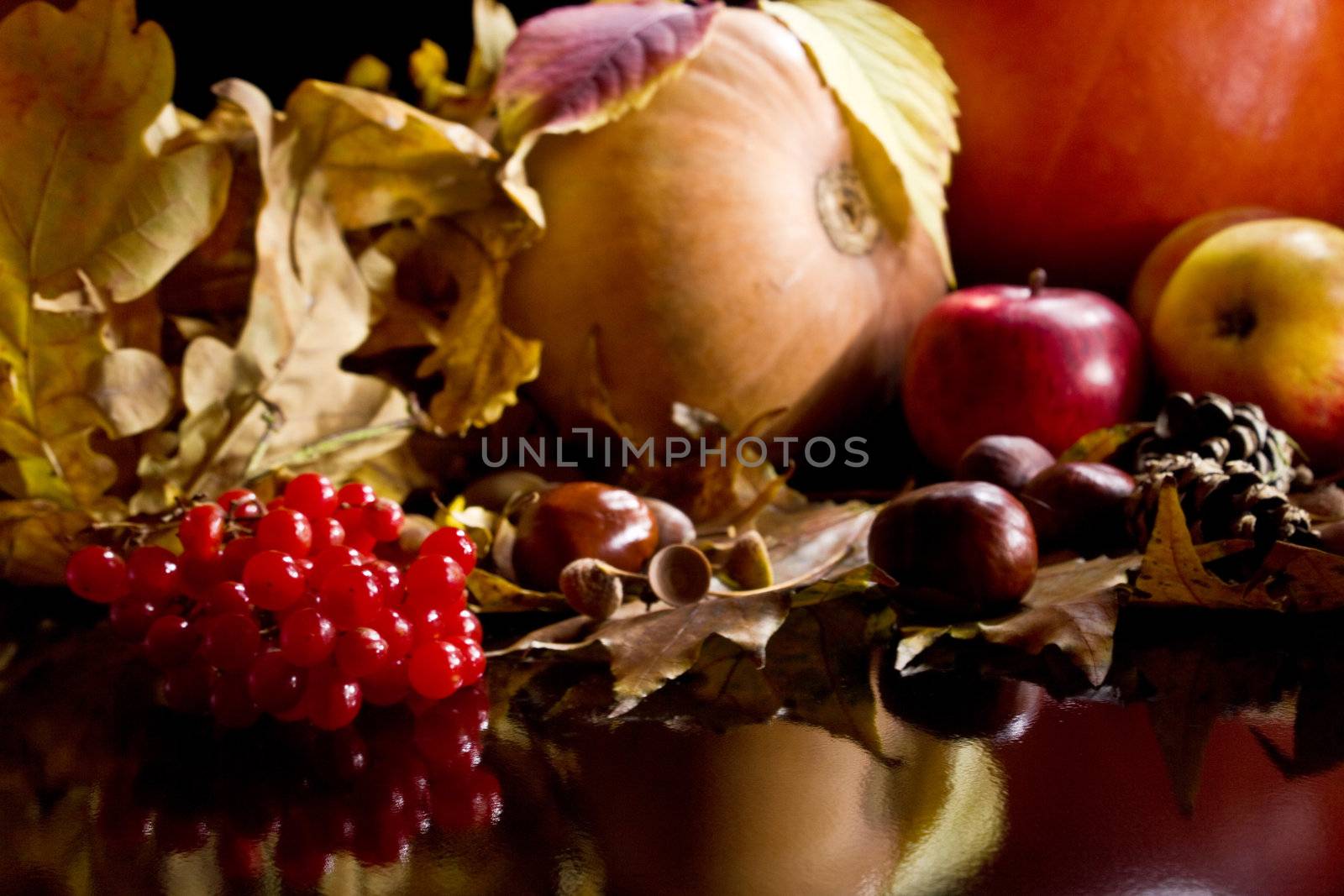 Autumn crop isolated on black