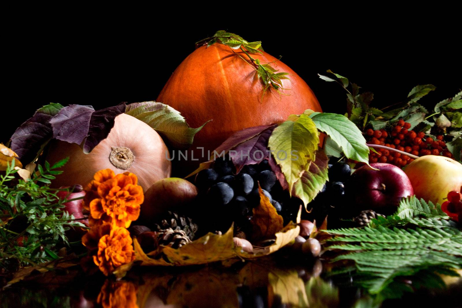 Autumn Still-life by Nika__