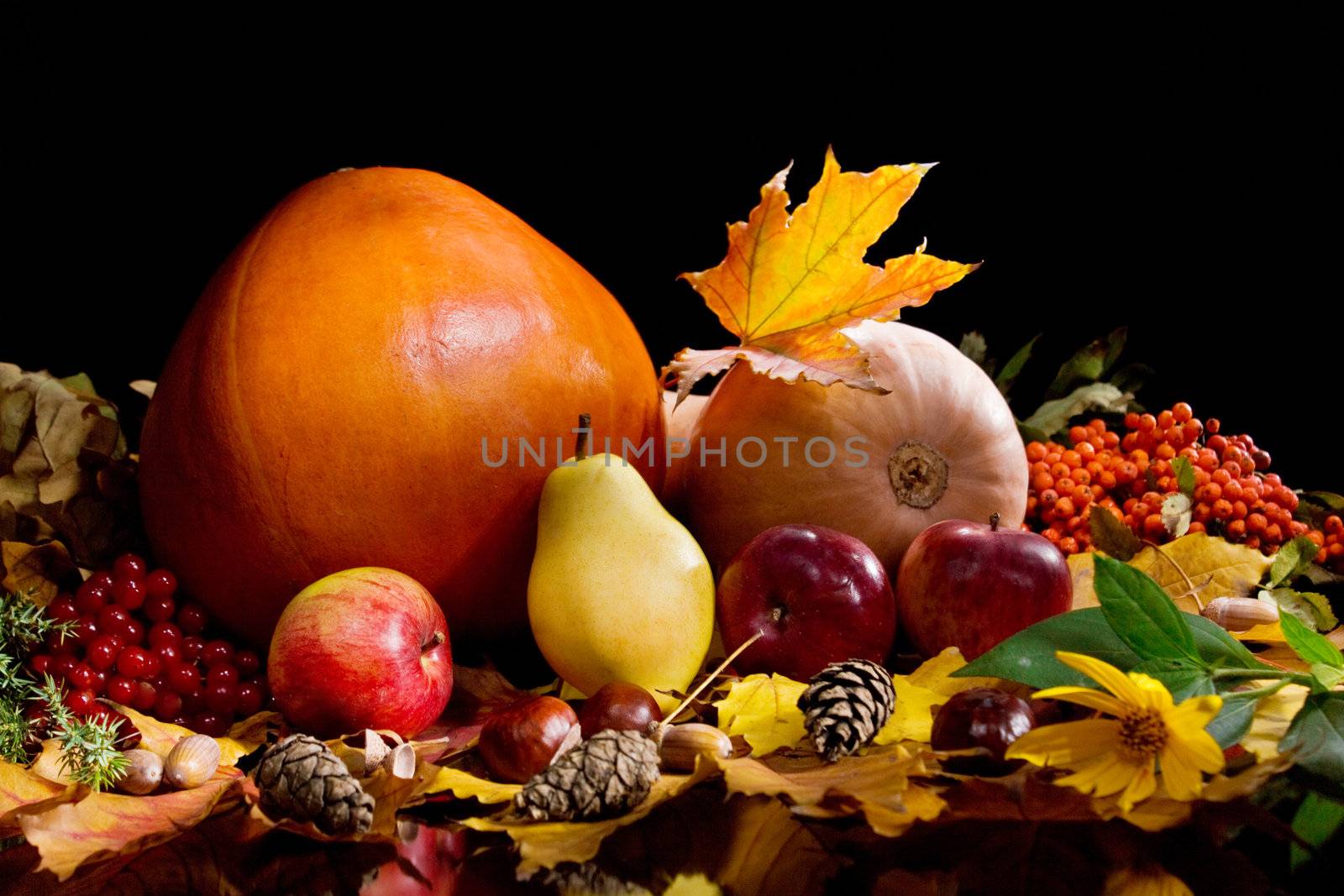 Autumn Still-life by Nika__