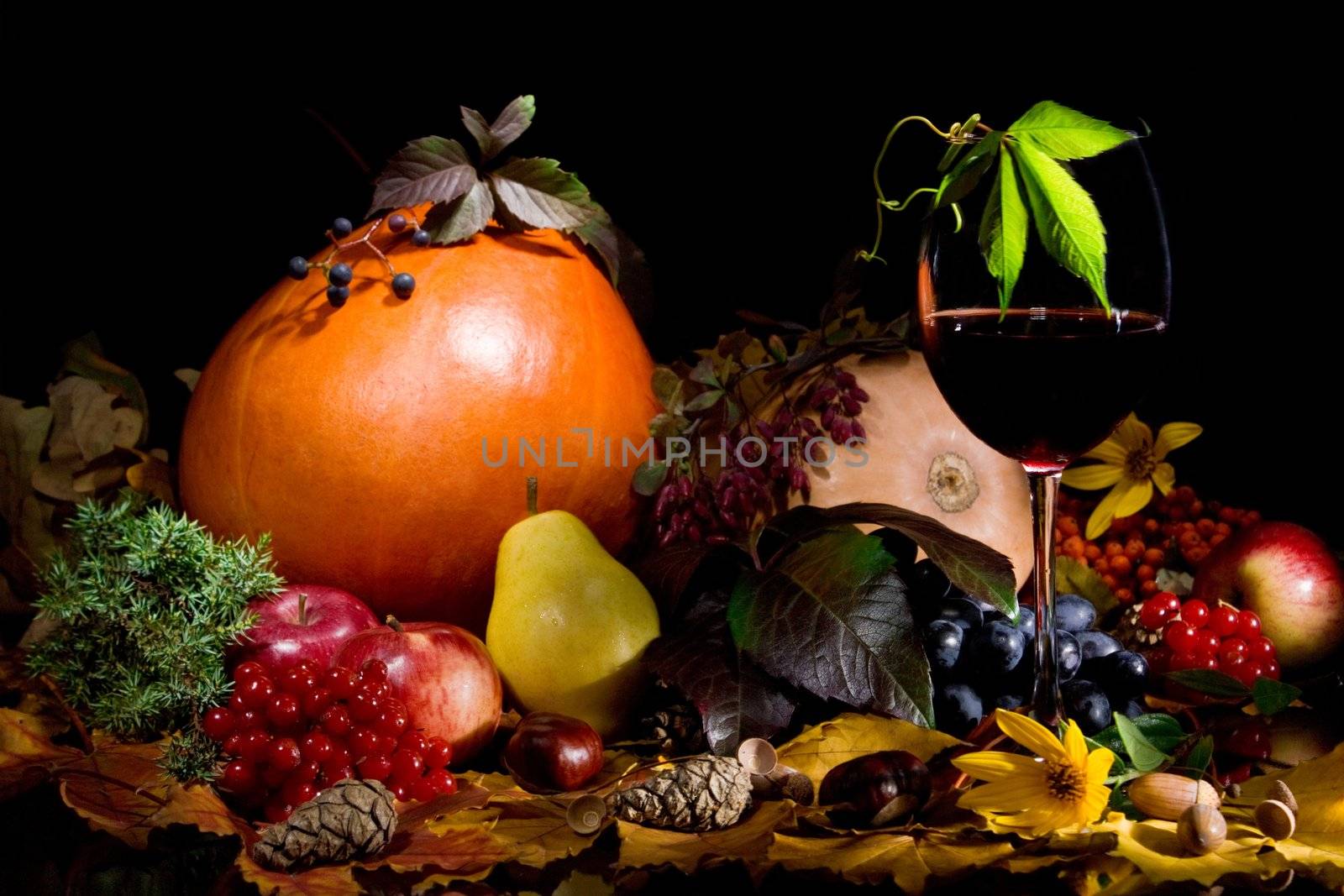 Autumn crop with red wine  isolated on black