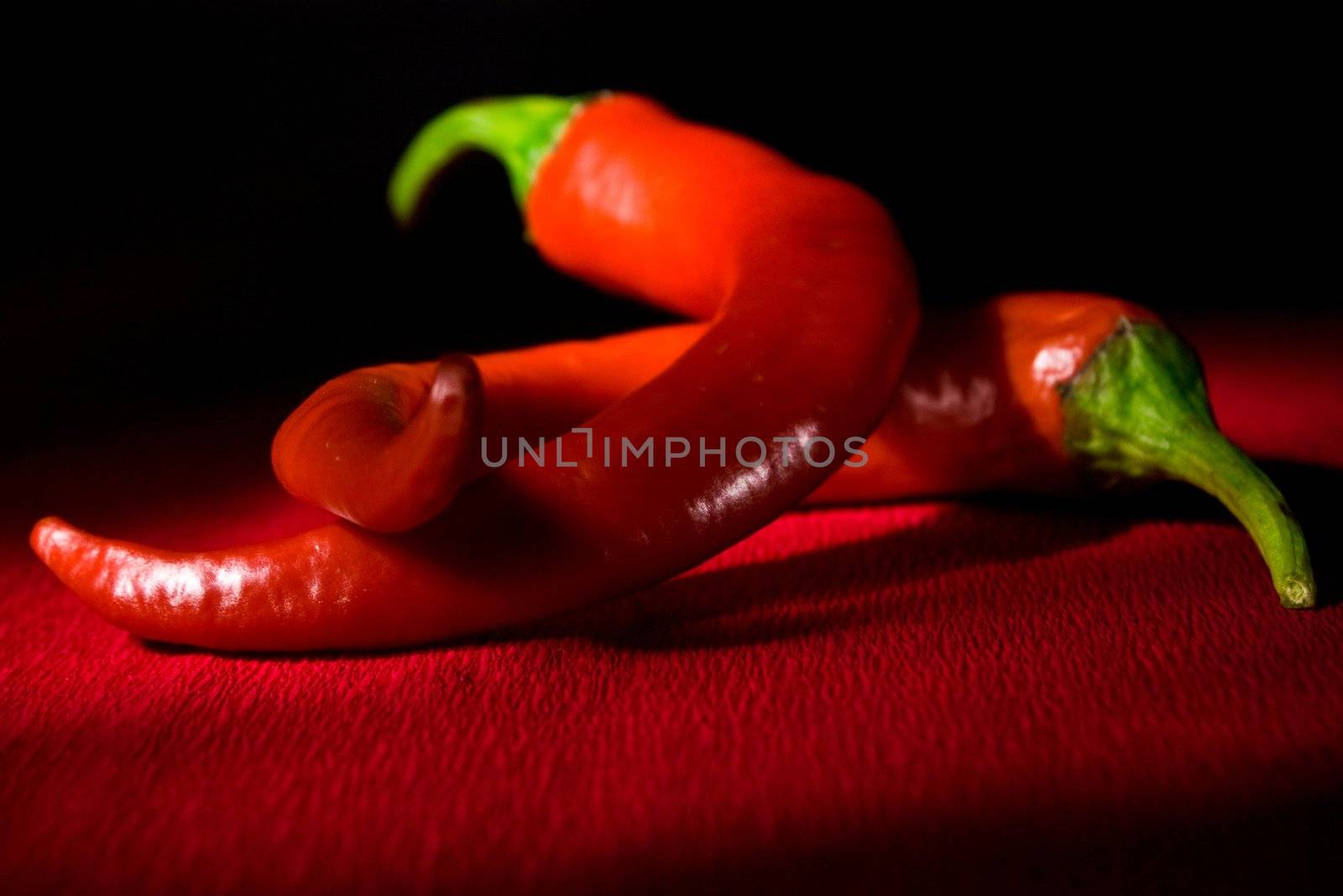 Red chili pepper on red background