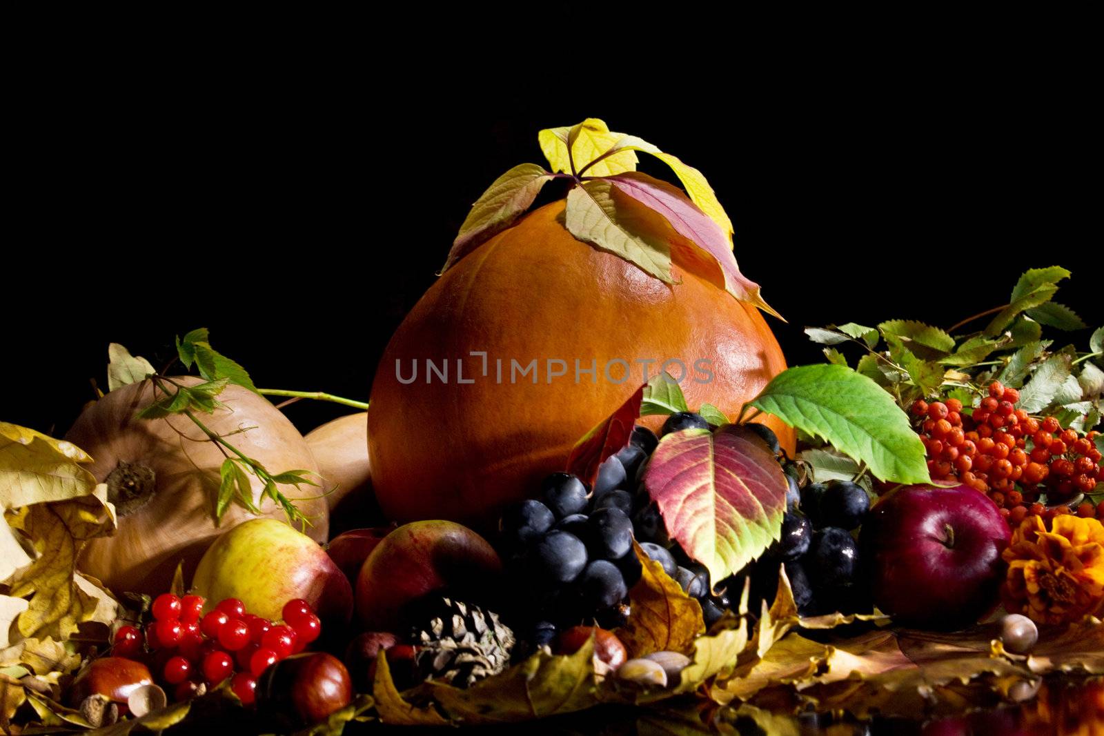 Autumn Still-life by Nika__