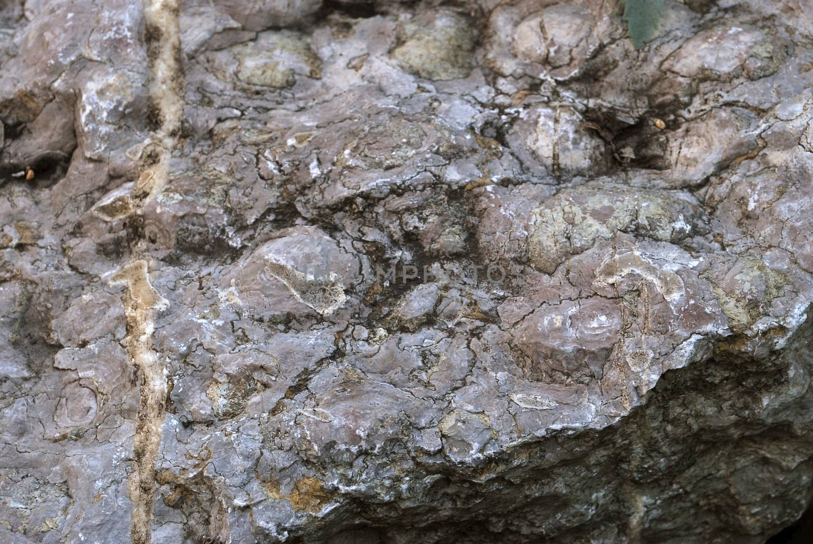 stone brown granite, macro