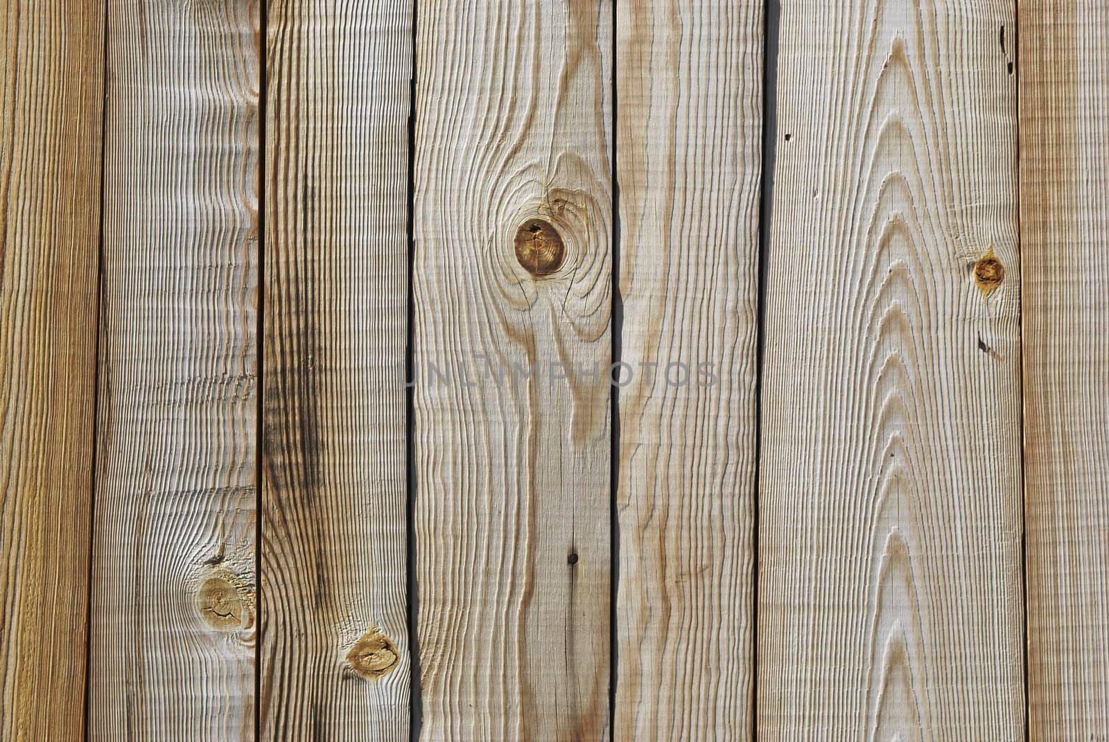 the old  wood boards