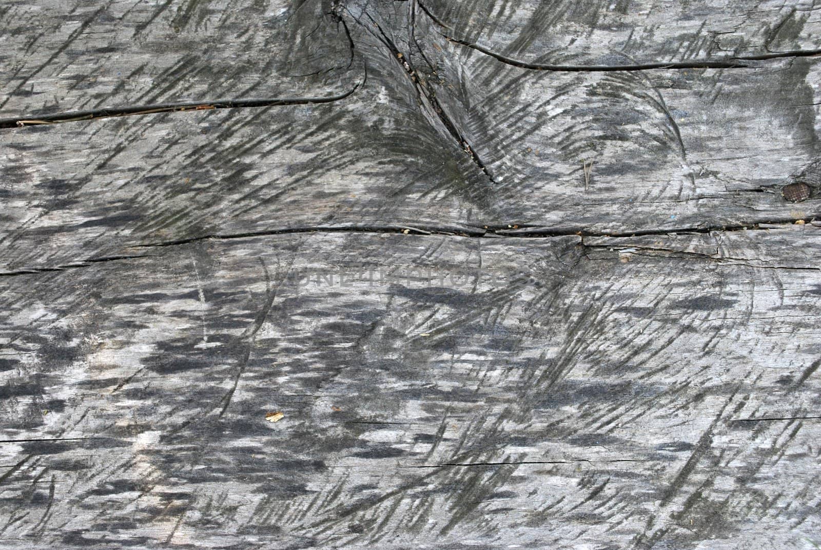 the old gray wood, texture