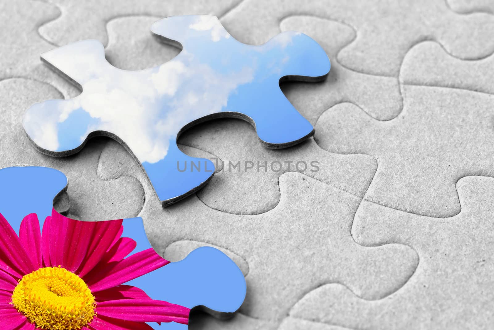 A piece of sky: contrast of grey cardboard jigsaw puzzle with blue sky and clouds and bright pink flower.