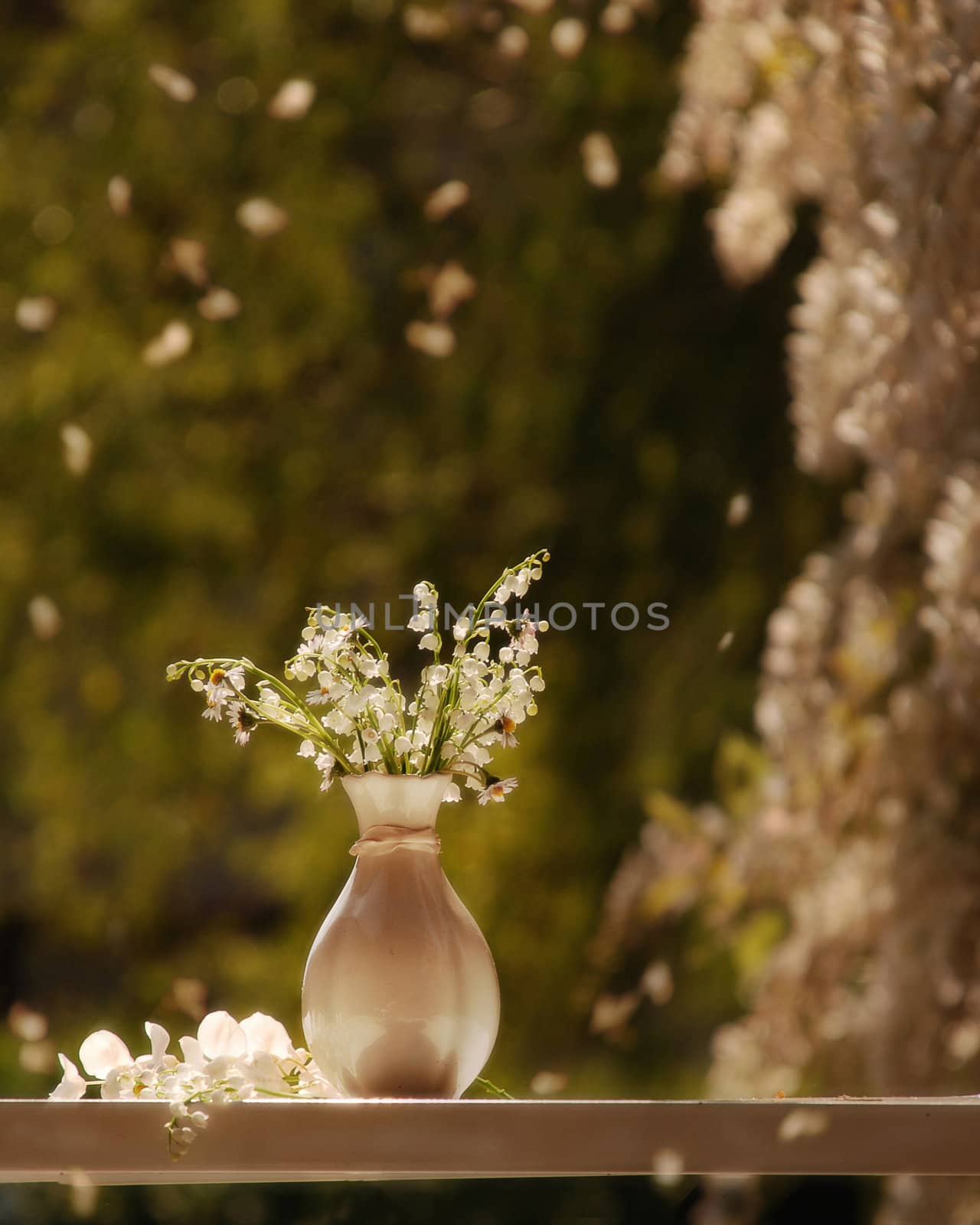 A stillife with sun shine and lily-of-the-valley