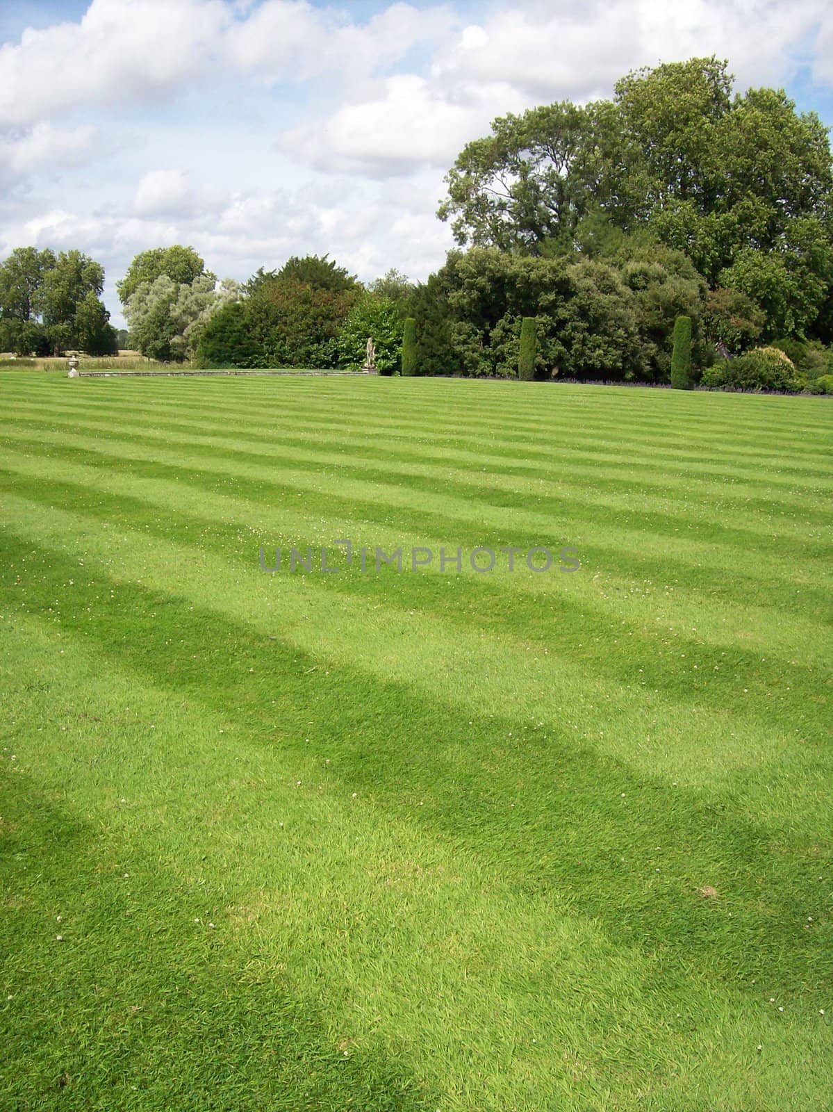 Photo of a striped lawn garden with trees in the distance
