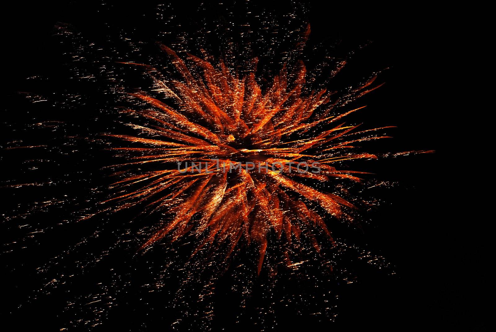 Colorful bright  fireworks on the black  background