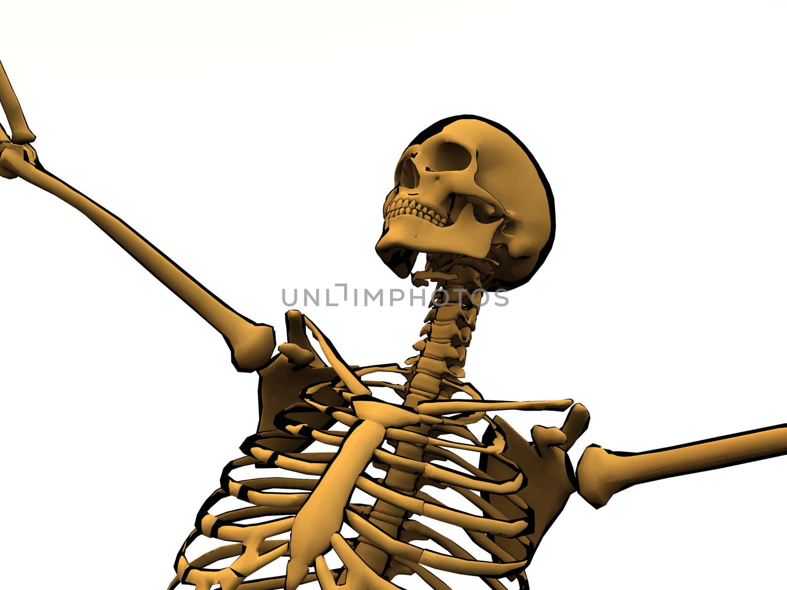 Image of a cartoon skeleton for medical or Halloween usage.
