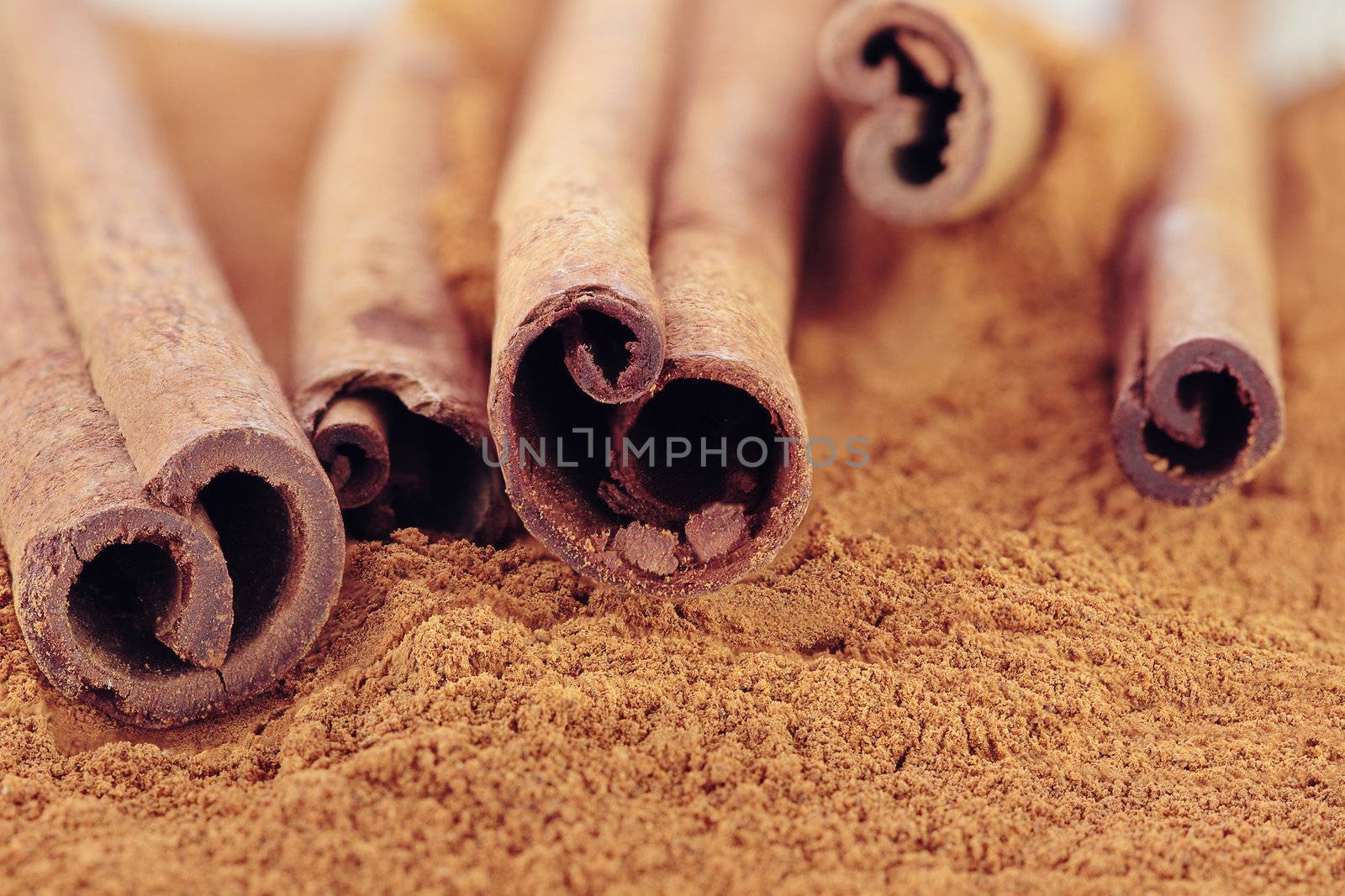 Cinnamon bark and ground cinnamon. Selective focus with extreme shallow DOF. Some blur on lower portion of image.