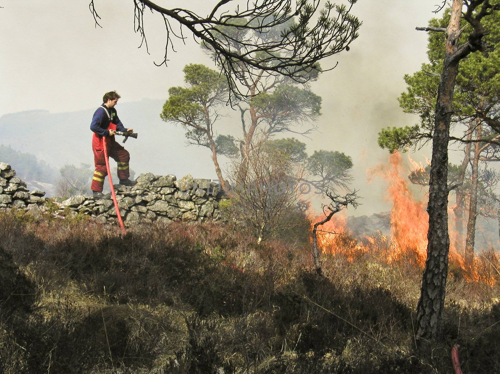 Firefighter fighting tryes to put out a fire back in  2004. The forrest caught fire when some kids played with open fire in dry nature. The fir was put out before it reached buildings nearby! Place: Ytre Arna in Bergen city of Norway!