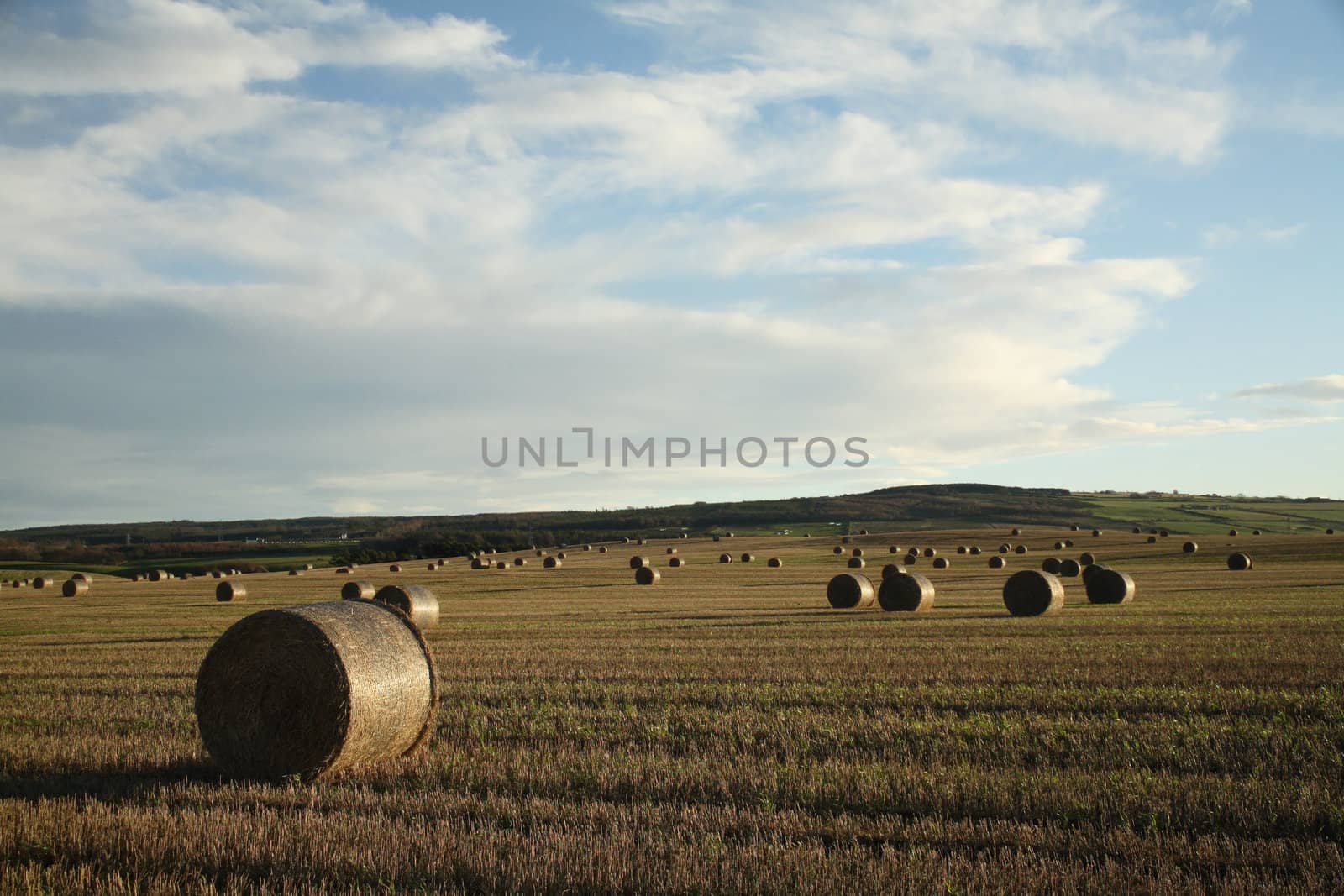 A field in the Highlands of Scotland with hay bales everywhere, on a late evening.