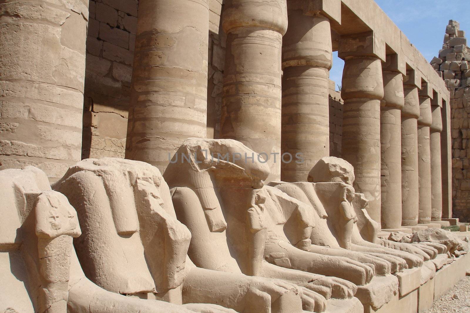 Various scenes of Luxor, in Egypt. Including the Karnak and Luxor Temple, Hatshepsut Temple and statues.