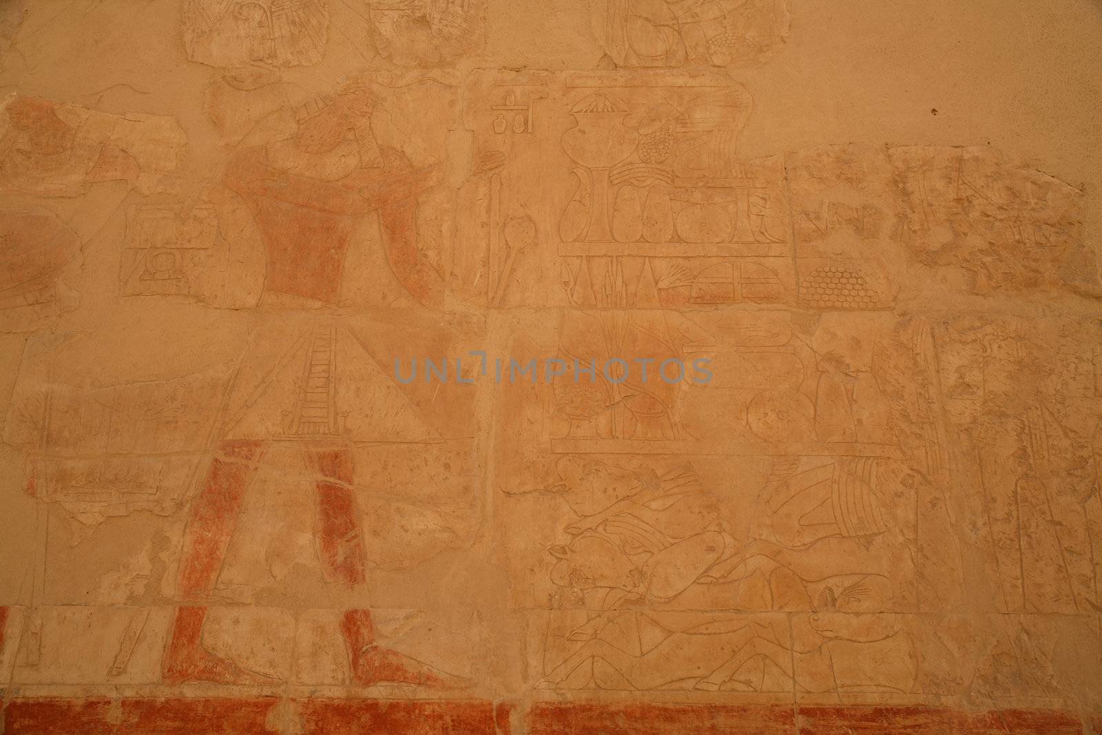 Egypt Series (Hieroglyph - horizontal) by Daniel_Wiedemann