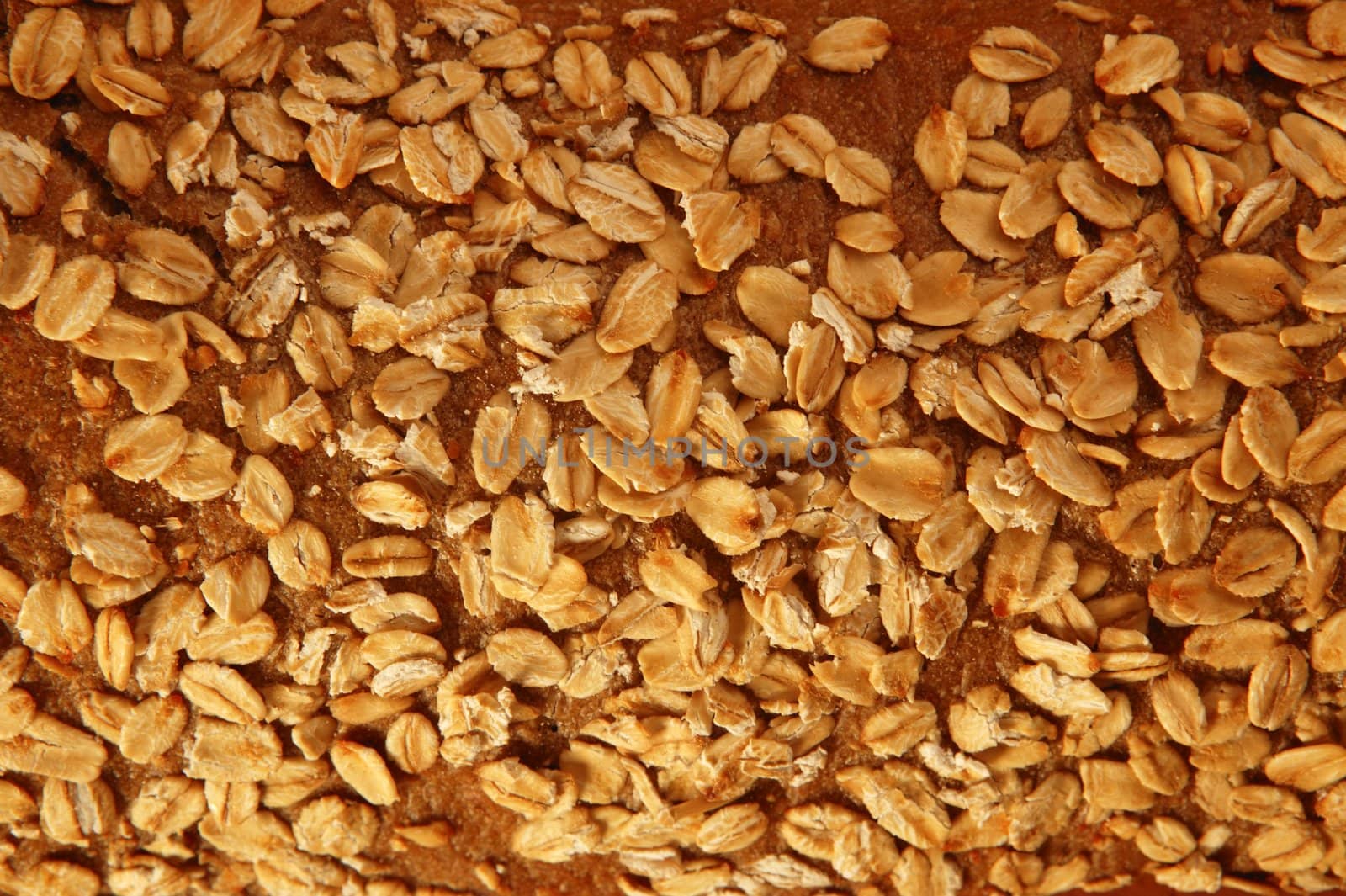 Cereal bread wheat texture macro detail background