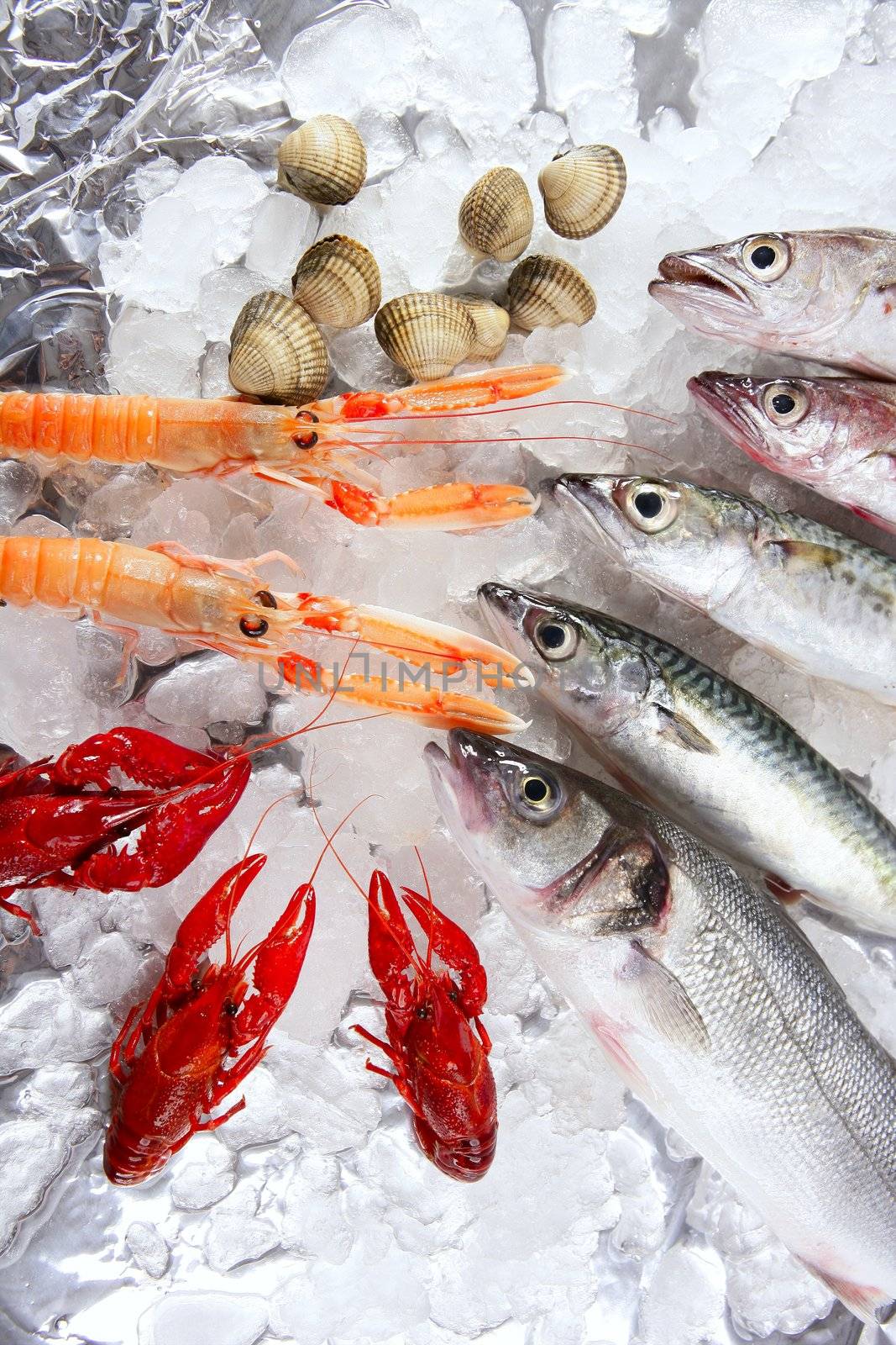 seafood in market over ice by lunamarina