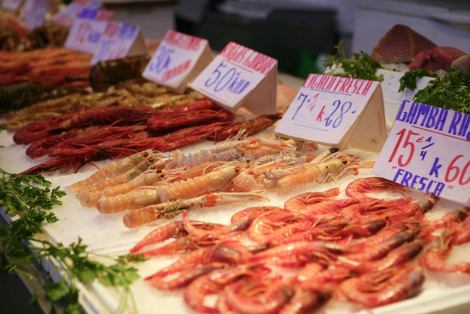 Mediterranean seafood in the market on ice
