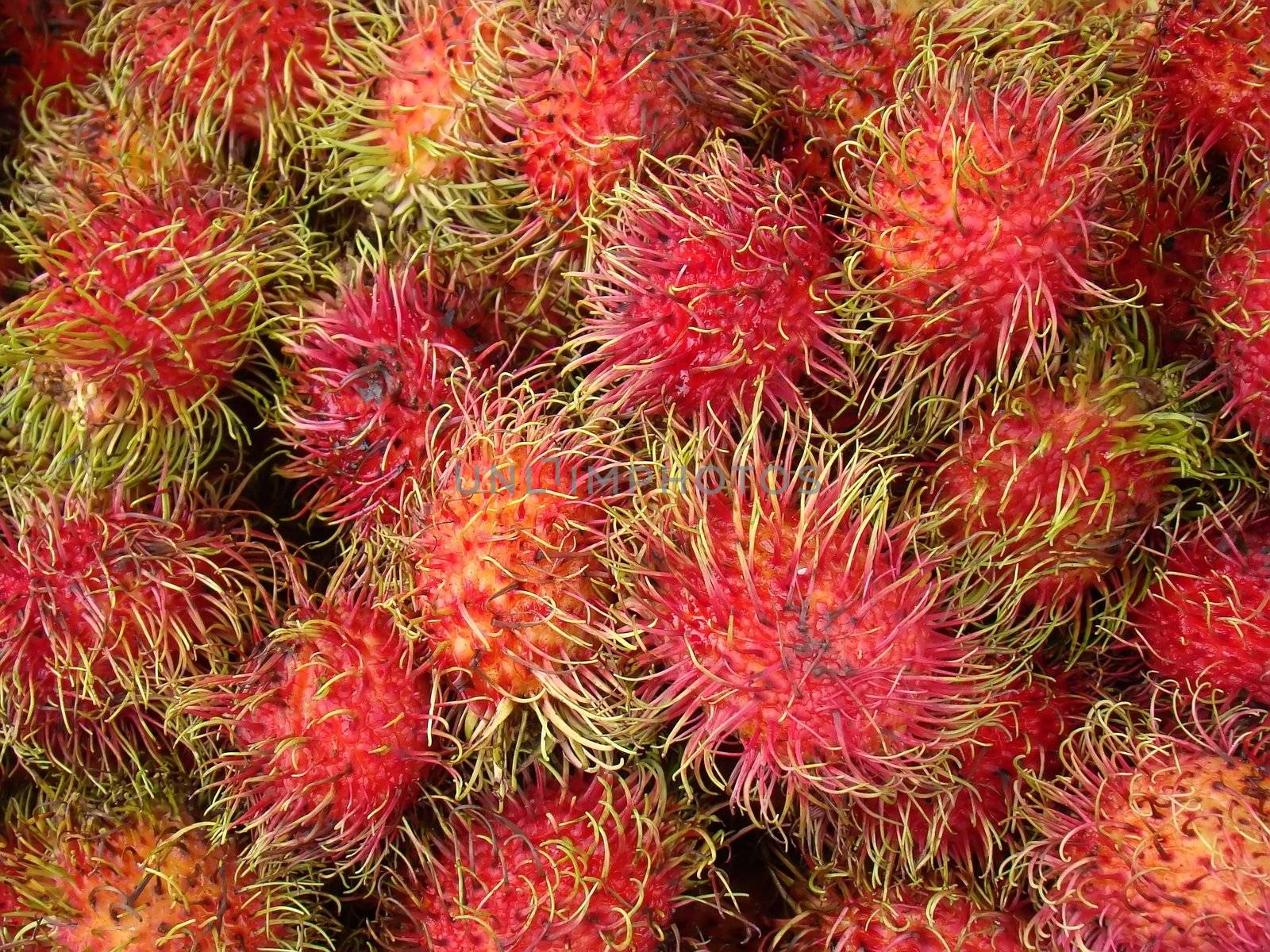 chinese fruit