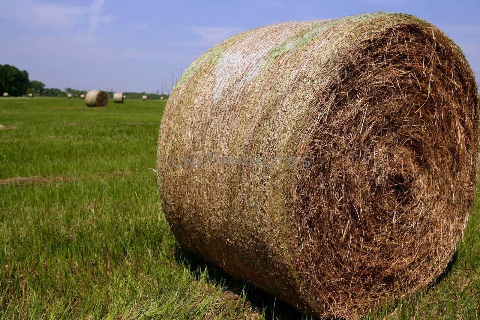 Golden Straw Hay Bales in american countryside on sunny day