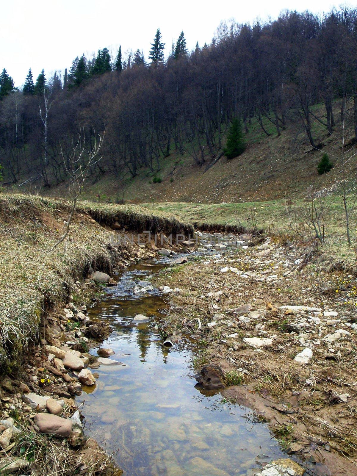 Spring in forest, area lake Sarva, Bashkortostan, Russia