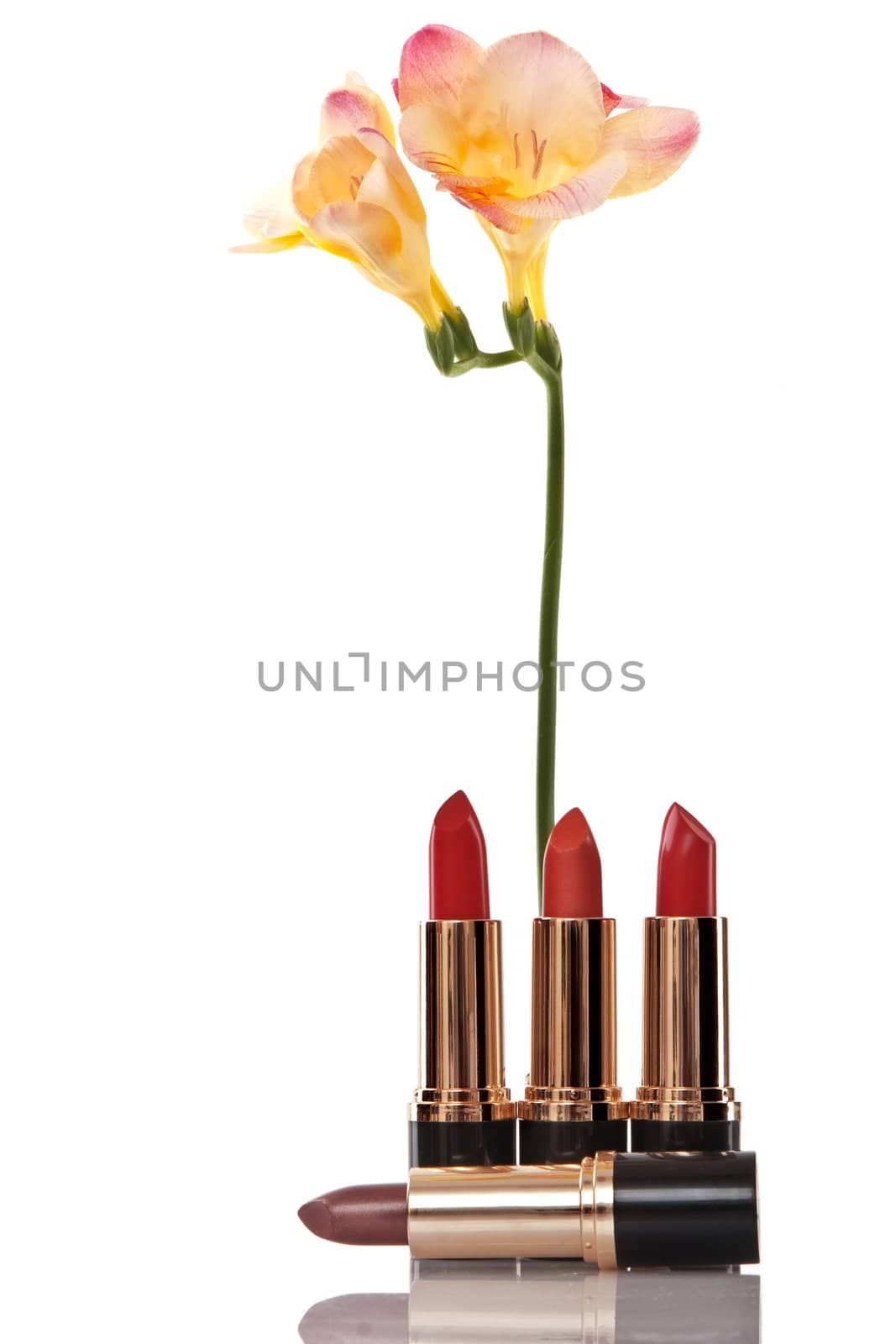 glamor red shiny lipstick and yellow flower on white background