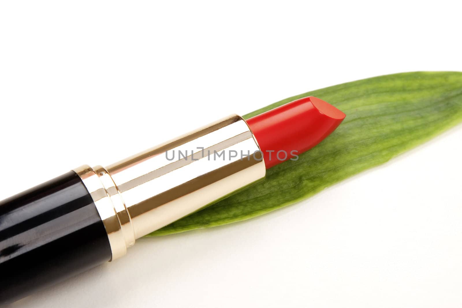 glamor red shiny lipstick and green leaf isolated on white background