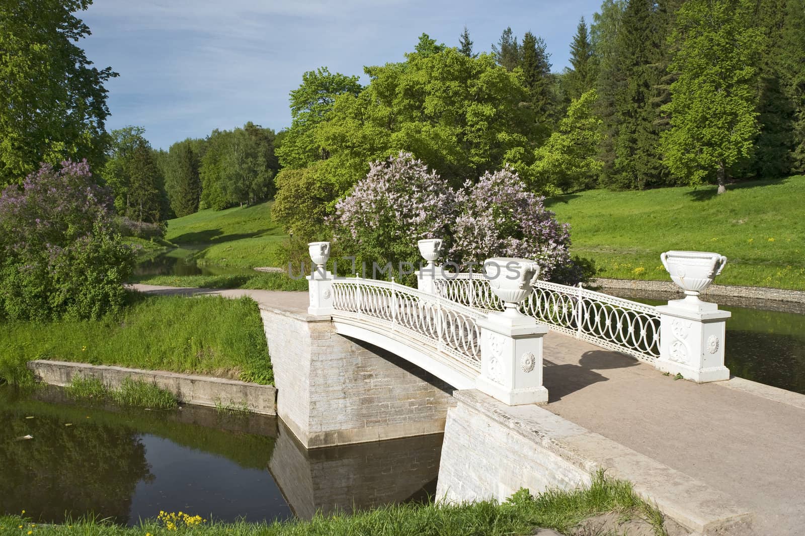 Beautiful bridge in the park with blossoming lilac