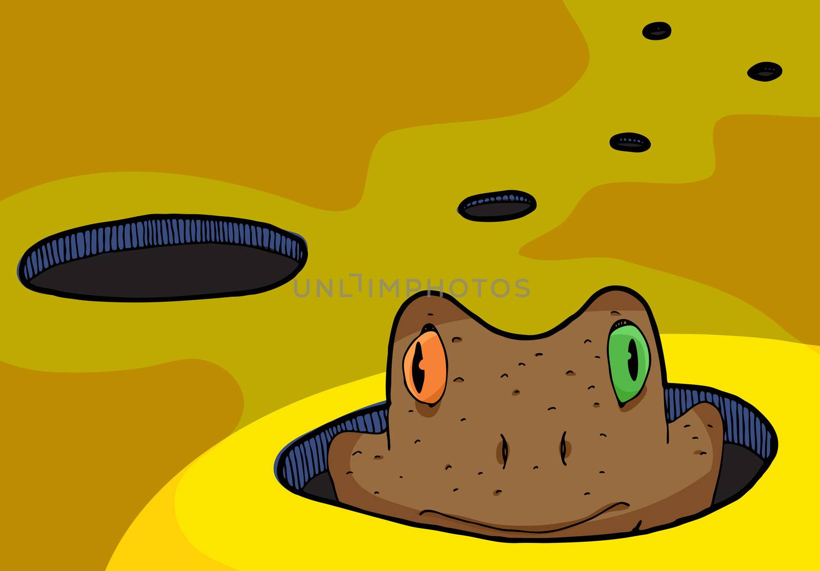 An orange and green-eyed toad pops up from a hole