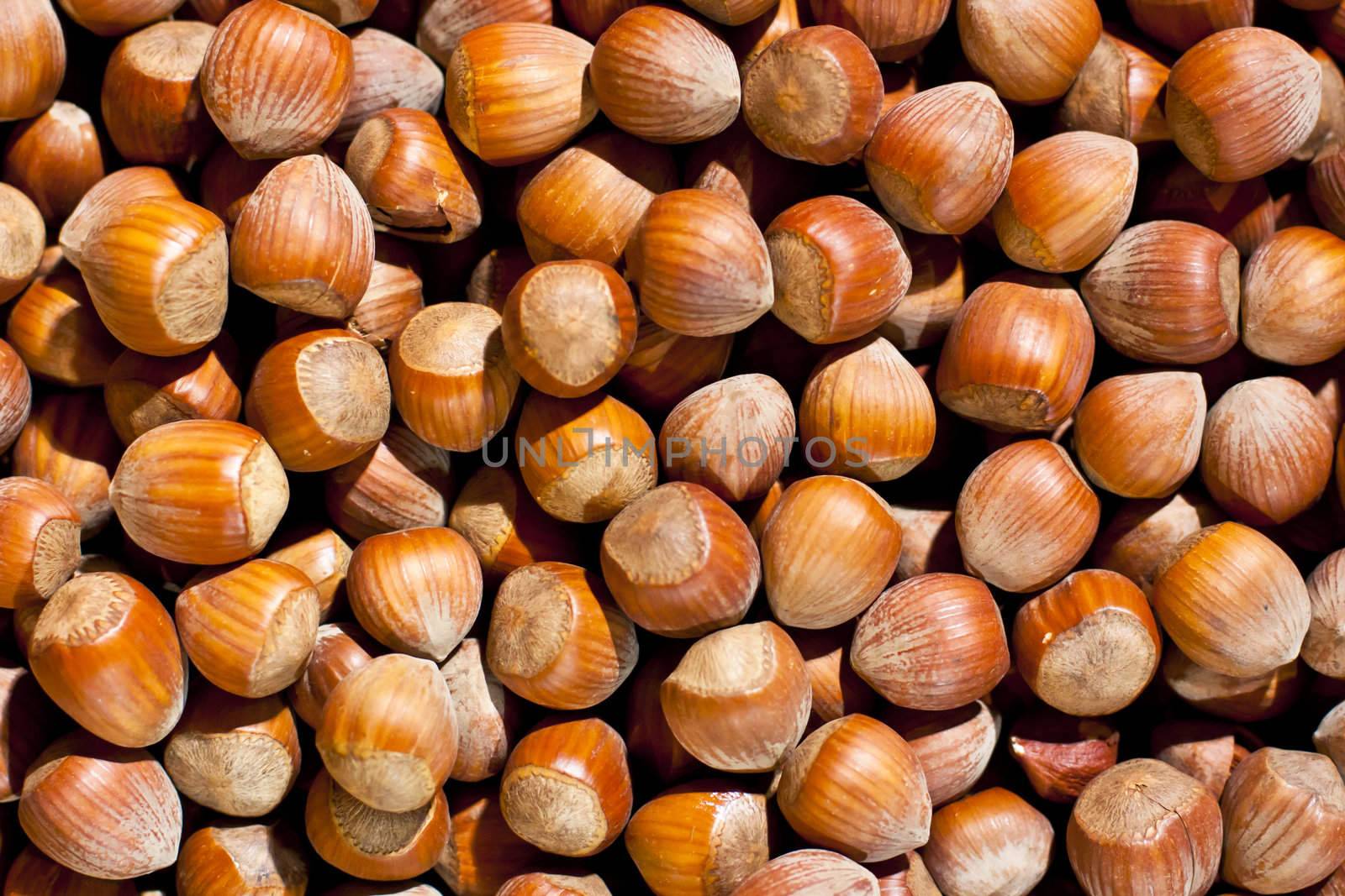 Background patern formed by the dry brown hazel nuts